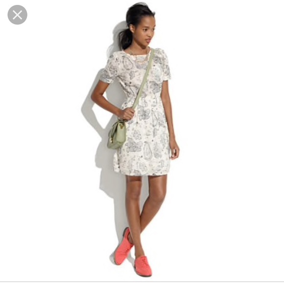 Madewell mapview white cotton dress size 2 - Picture 2 of 4